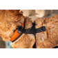 K9 Sport Harness with Optional Custom Embroidery Orange