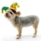 Mardi Gras Joker Dog Hat