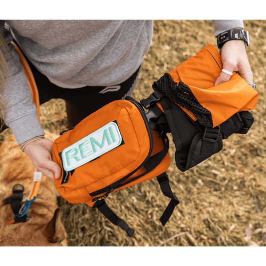 K9 Sport Sack Walk-On with Harness & Storage Orange