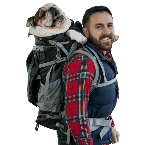 K9 Sport Sack Klearance Kolossus Big Dog Carrier & Backpacking Pack Black