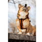 K9 Sport Sack Walk-On with Harness & Storage Orange