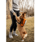 K9 Sport Sack Walk-On with Harness & Storage Orange