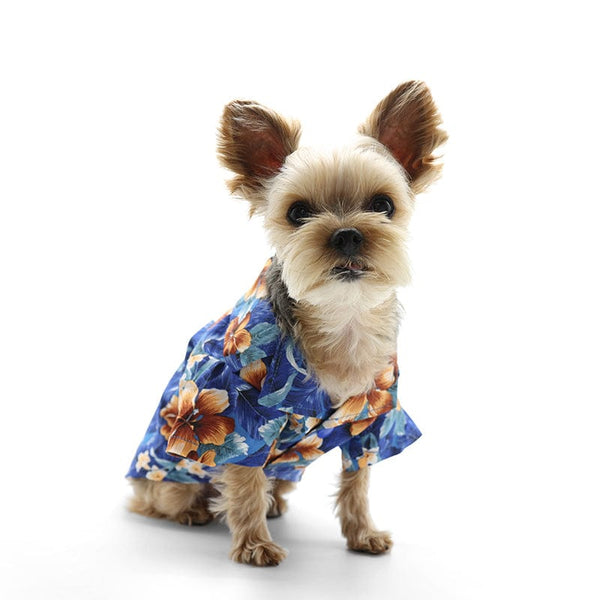 Tropical Floral Dog Shirt Blue
