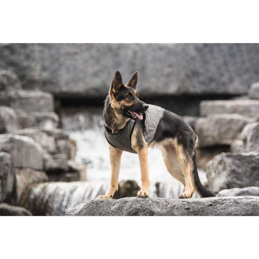 US Army Dog Cooling Vest - Grey