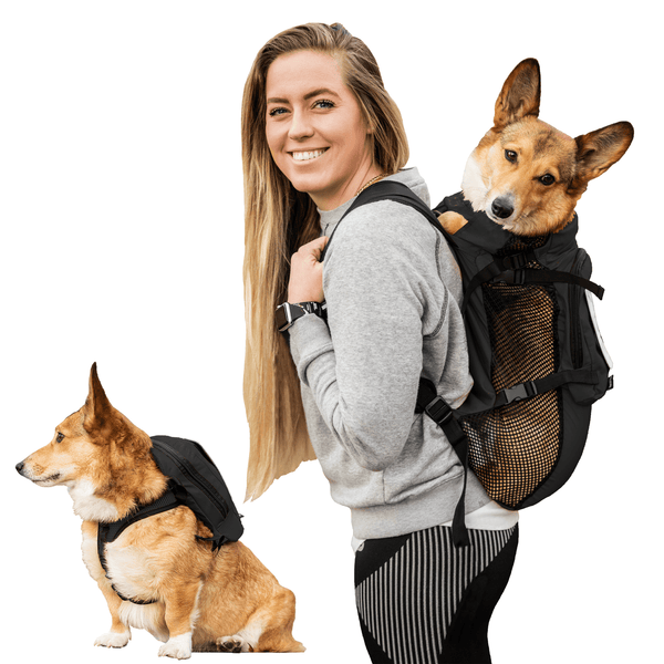 K9 Sport Sack Walk-On with Harness & Storage Black