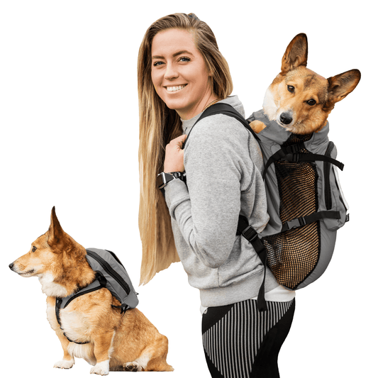 K9 Sport Sack Walk-On with Harness & Storage Gray