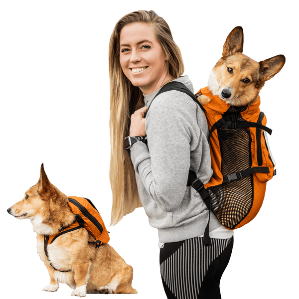 K9 Sport Sack Walk-On with Harness & Storage Orange