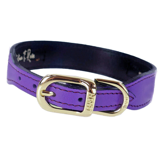 After Eight in Lavender Dog Collar