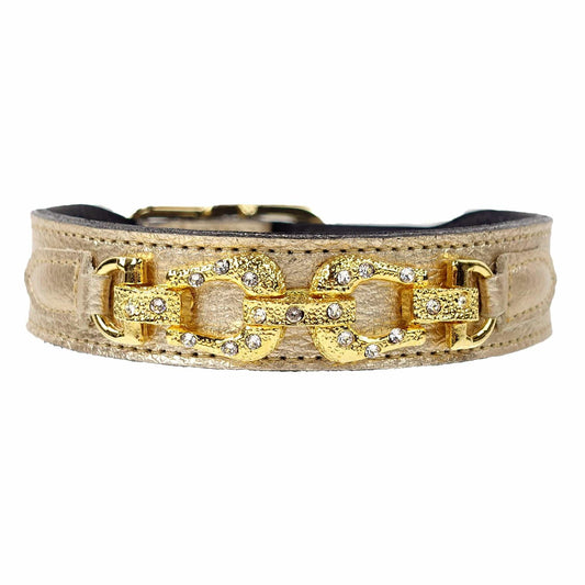 After Eight in Gold Metallic Dog Collar