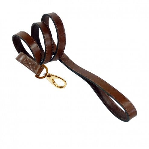 Au Naturale in Rich Brown & Tiger Eye Dog Collar
