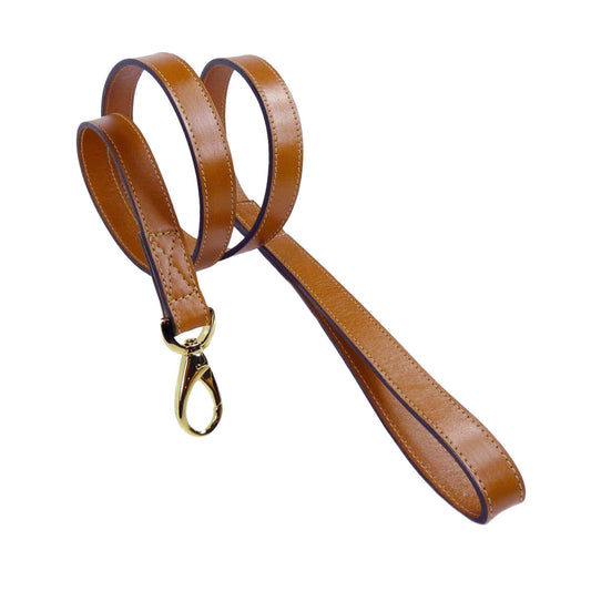 Au Naturale in Natural Tan & Mexican Crazy Lace Agate Dog Collar