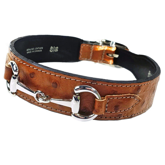 Belmont in Ostrich & Nickel Dog Collar