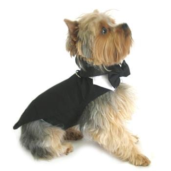 Formal Black Dog Harness Tuxedo