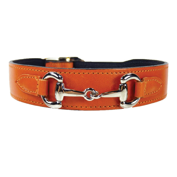 Belmont in Tangerine & Nickel Dog Collar