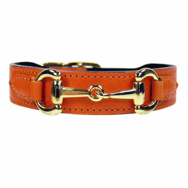 Belmont in Tangerine & Gold Dog Collar