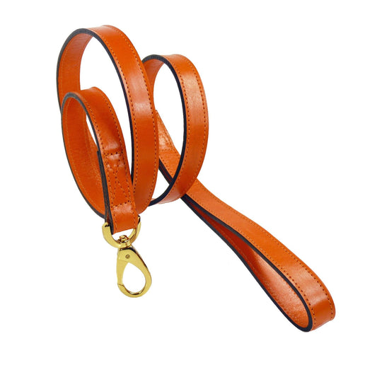Belmont in Tangerine & Gold Dog Collar