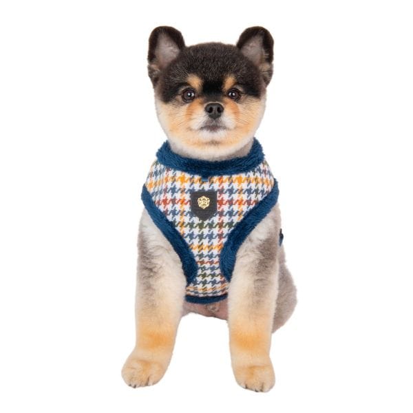 Kent Dog Harness A - Blue