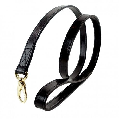 Belmont in Black Patent & Gold Dog Collar