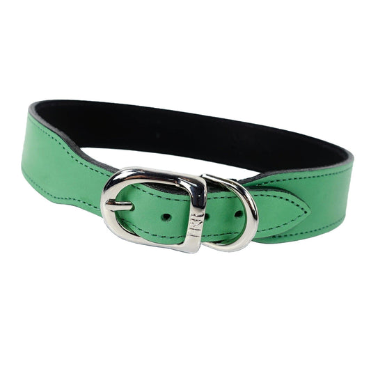 Belmont in Kelly Green & Nickel Dog Collar