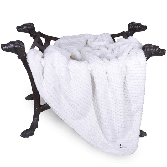 Paris Dog Blanket - Ivory