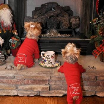 Christmas Dog Pajama - Santa's Lil' Helper