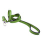 After Eight in Lime Green Dog Collar