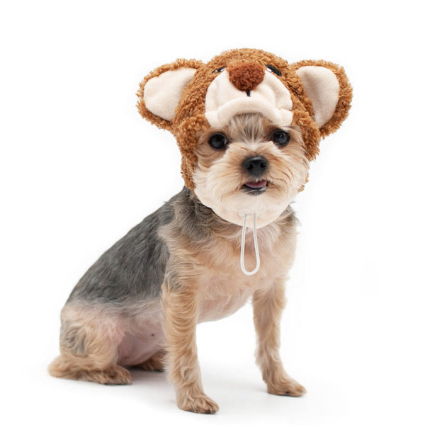 Teddy Bear Dog Hat
